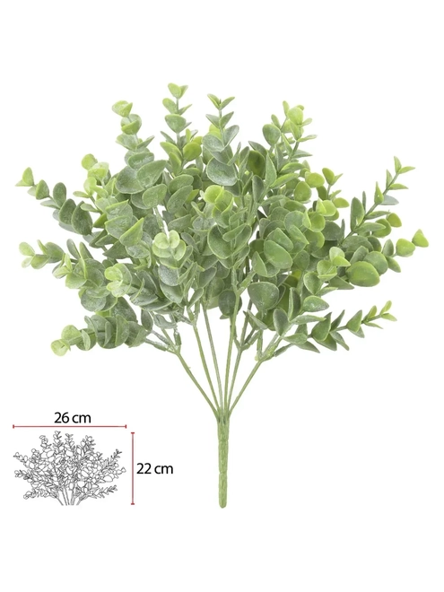 Planta Verde - Eucalipto