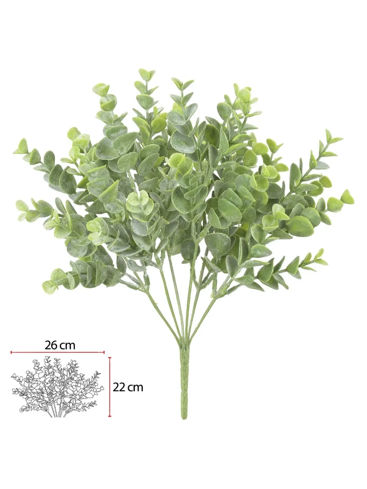 Planta Verde - Eucalipto 