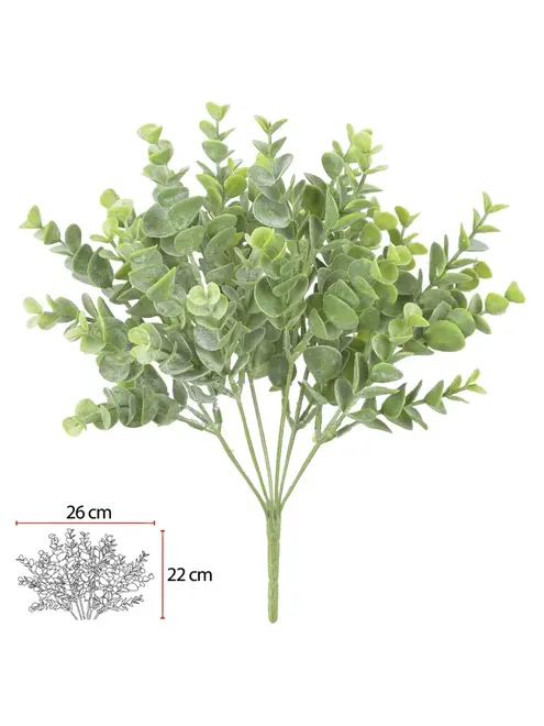 Planta Verde - Eucalipto