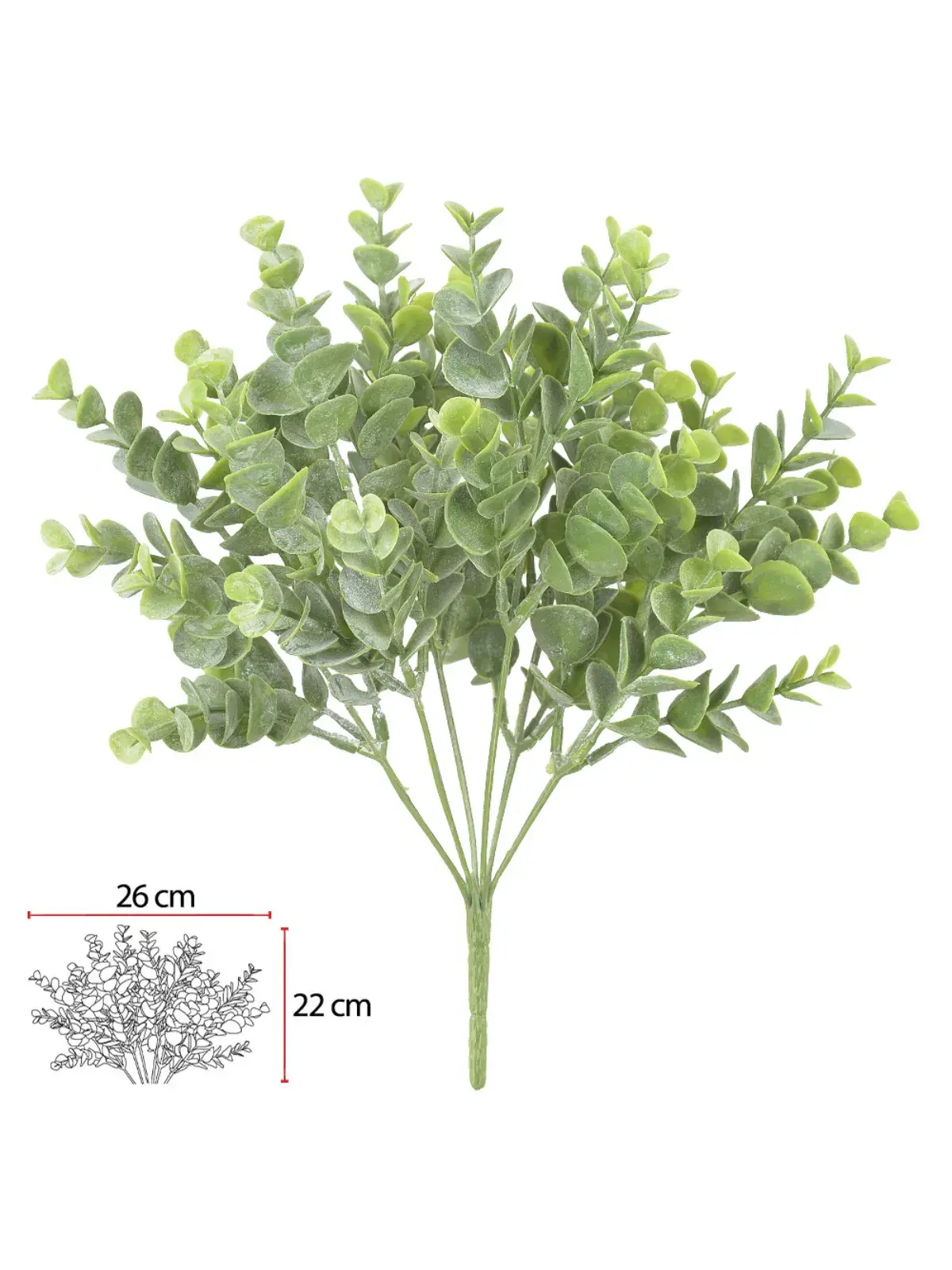Planta Verde - Eucalipto 