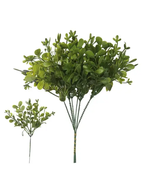 Planta Verde Vasos - Pick grass