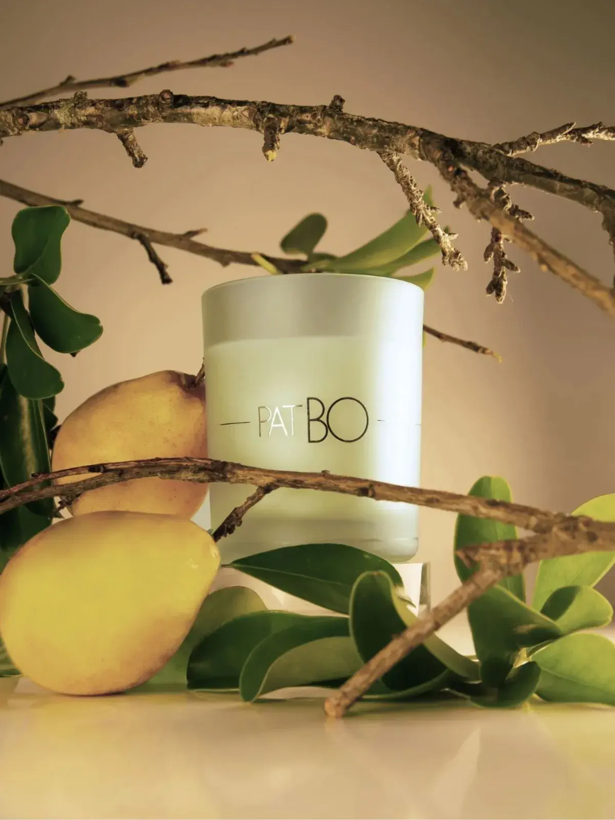 Vela Perfumada Lenvie PatBo Summer Pear 210g 
