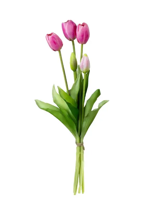 Ramalhete Tulipa Toque Real