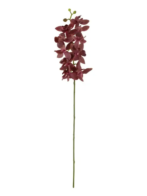 Haste Mini Orquidea