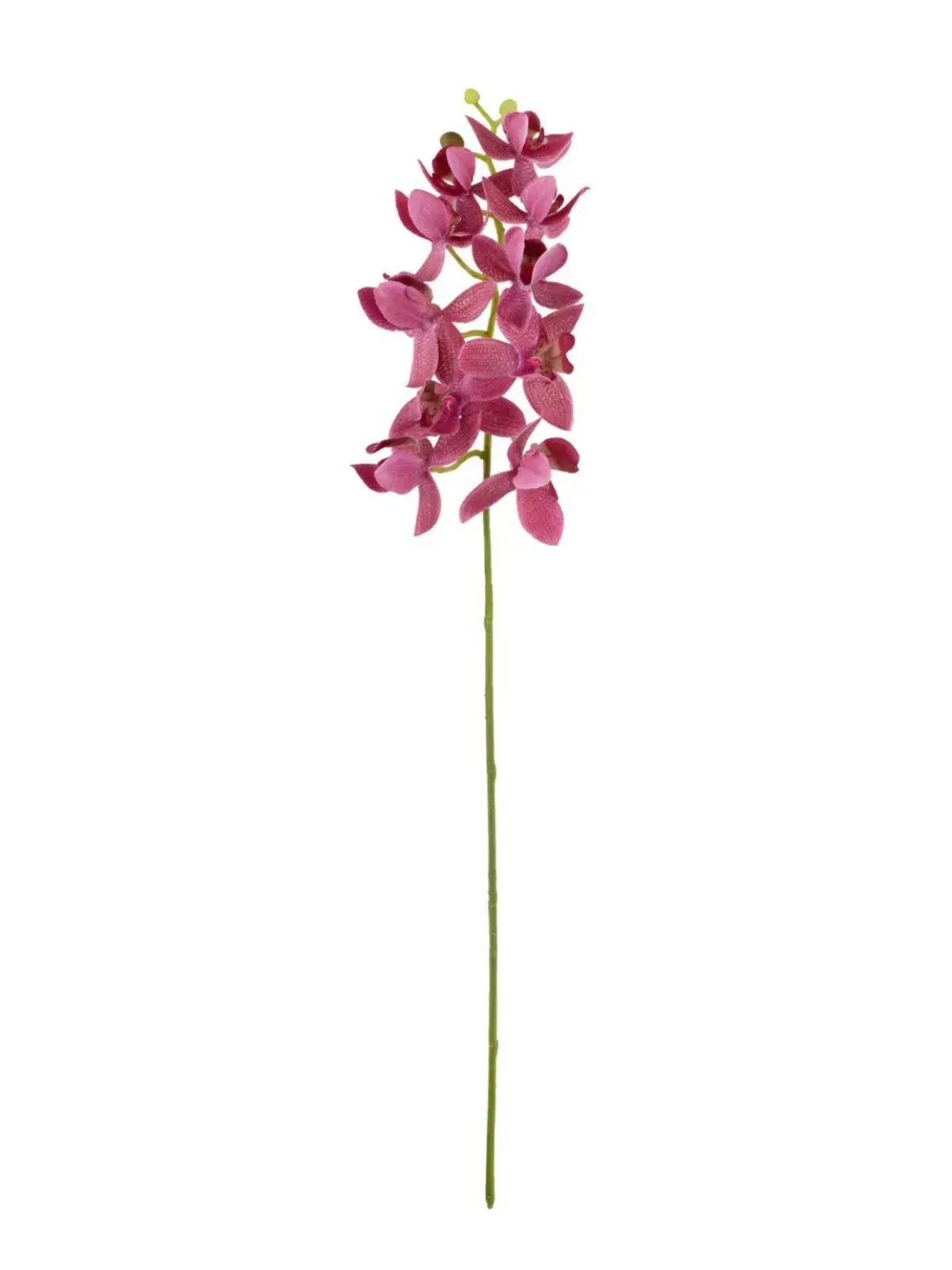 Haste Mini Orquidea Rosa